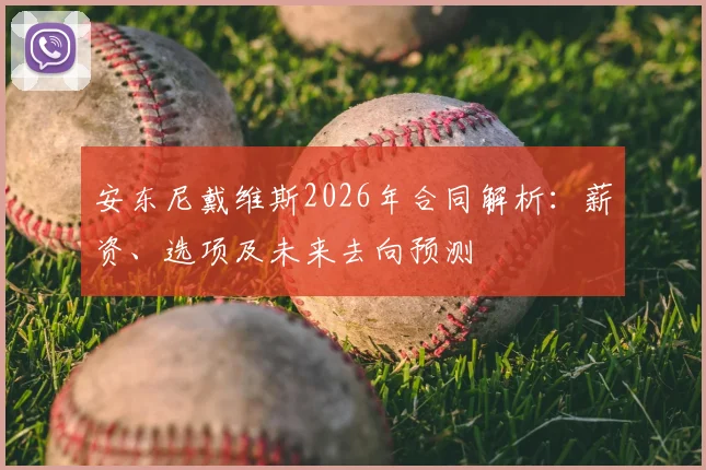 安东尼戴维斯2026年合同解析：薪资、选项及未来去向预测
